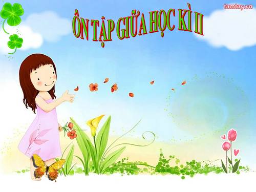 ÔN TẬP KIỂM TRA GIỮA HKII