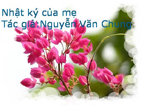 nhật ký của mẹ