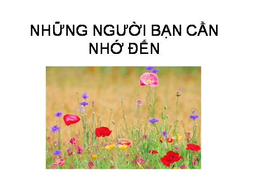 những người bạn cần nhớ đến