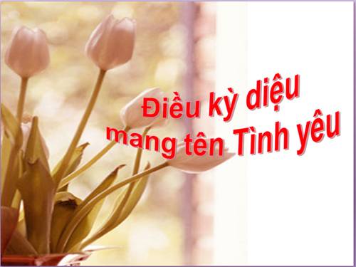 điều kì diệu mang tên tình yêu