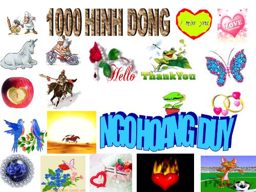 hinh dong