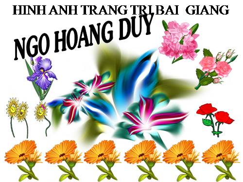 anh hoa dep