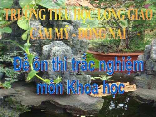 ÔN THI KHOA HỌC 4