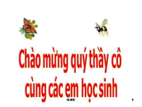 Bài giảng điện tử Toán 6