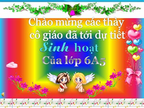 Sinh họt ngày 20-11