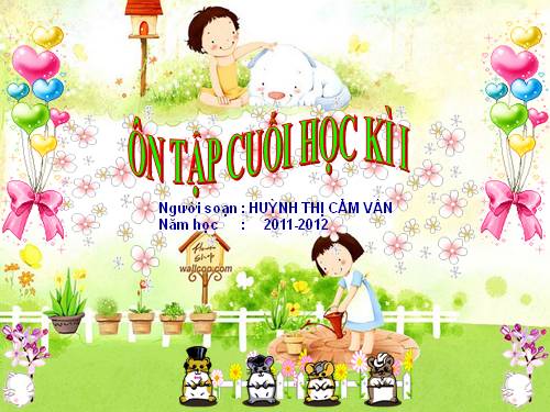ÔN TẬP KIỂM TRA CUỐI HKI - LỚP 2