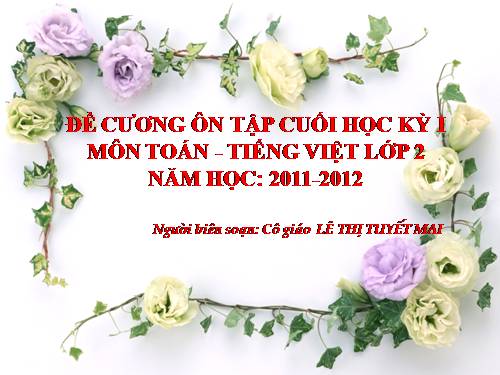 ÔN TẬP KIỂM TRA CUỐI HK I - LỚP 2