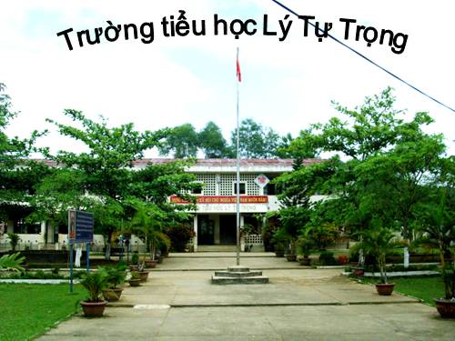 hình ảnh trường