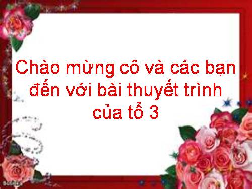 TỰ NHIÊN XÃ HỘI