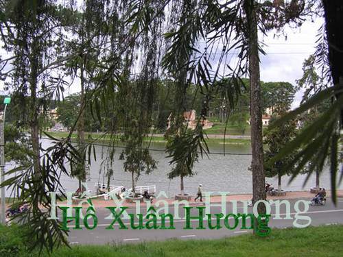 Thành phố Đà Lạt