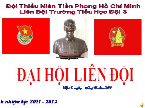 Đại hội liên đội