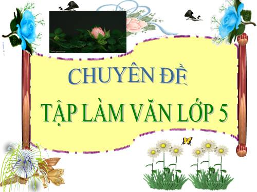 Tập làm văn tuần 8: Luyện tập tả cảnh