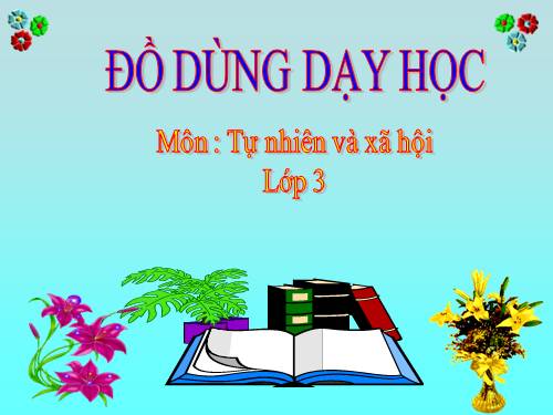 Do dung day hoc TNXH lop3