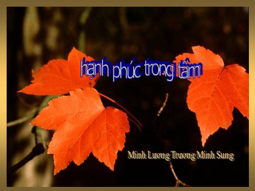 Hạnh phúc trong tâm