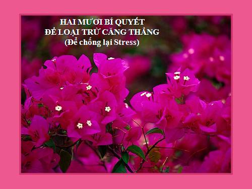 20 loi khuyen cho ban de giam bot cang thang