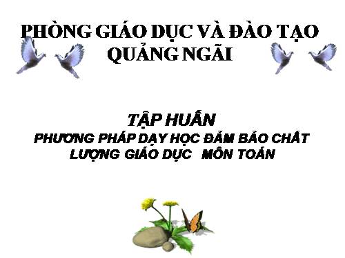 chuong trinh toan tieu hoc