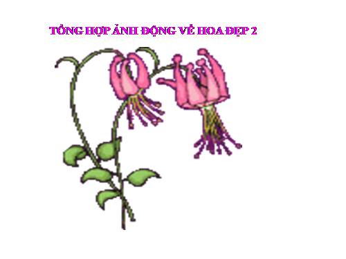 HÌNH ĐỘNG HOA ĐẸP 2