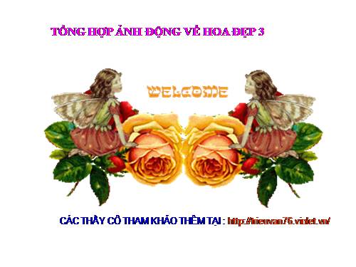 HÌNH ĐỘNG HOA ĐẸP 3