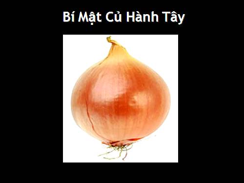 bi mat tu cu hanh