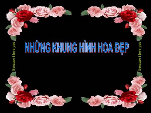 kHUNG hình hoa cho giáo án điện tử