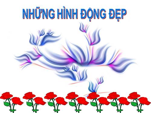 BỘ SƯU TẬP HOA ĐẸP
