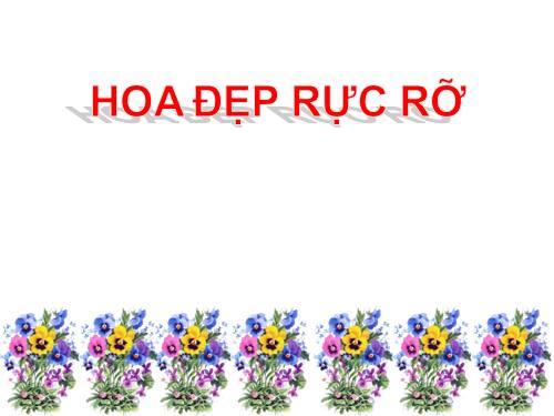 khung hinh hoa dep tulam