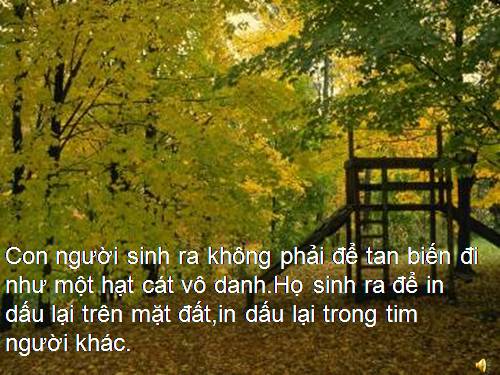 sống đẹp