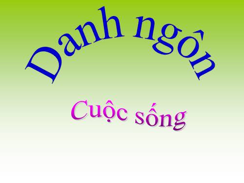 DANH NGÔN CUỘC SỐNG