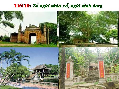 ÔN HSG LỚP 5