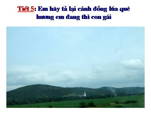 ÔN HSG LỚP 5