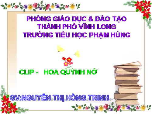 CLIP - HOA QUỲNH NỞ