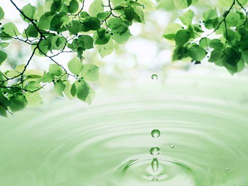 101 HÌnh nền PP các loại đẹp