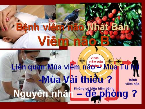 Bệnh viêm não Nhật Bản