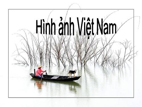 hình ảnh việt nam