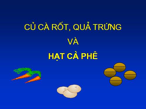 Cà rốt, trứng