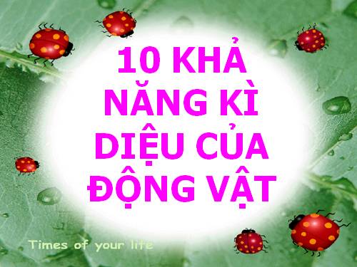 10 khả năng tuyệt diệu của động vật