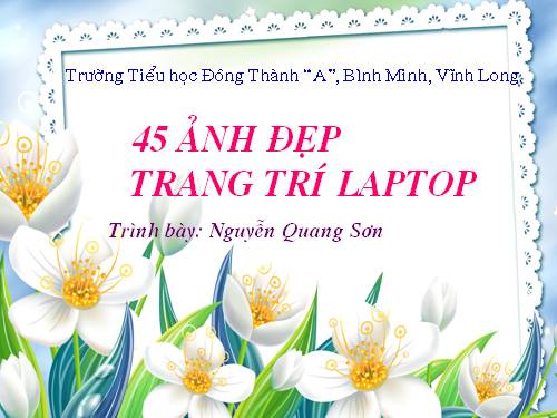 45 Ảnh nền Tuyệt đẹp cho Laptop