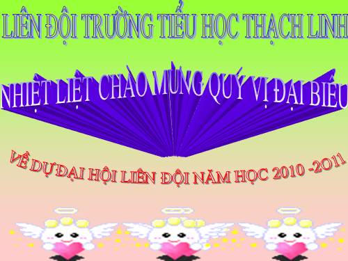 chương trình Đại hội Liên đội năm học 2010 -2011