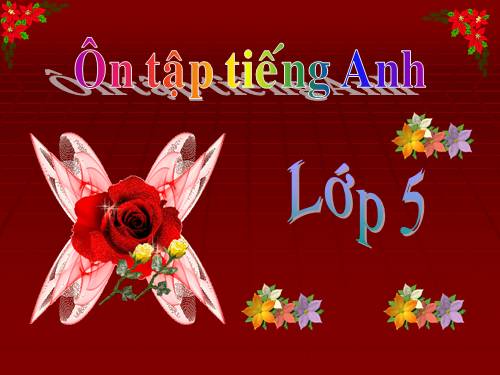 ON TAP TIENG ANH LOP 5