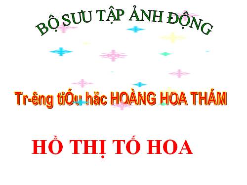 BỘ SƯU TẬP HÌNH NỀN CỦA MÈO Ú