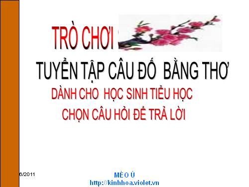 CÂU DỐ HAY MÈO Ú