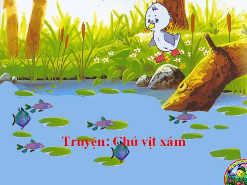 Con vịt xám