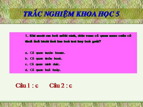 Trắc nghiệm KH 5