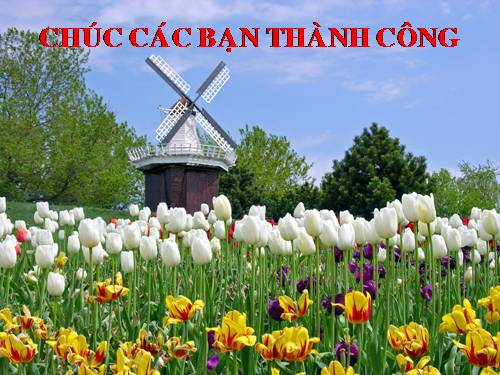 Câu hỏi trắc nghiệm tổ chức 20-10