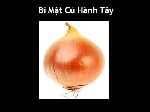 Thông điệp yêu thương