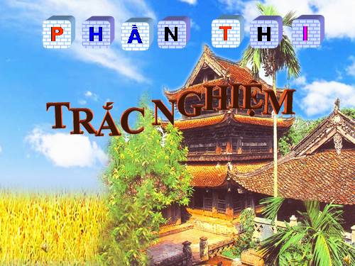 Thi an toàn giao thông cáp tỉnh