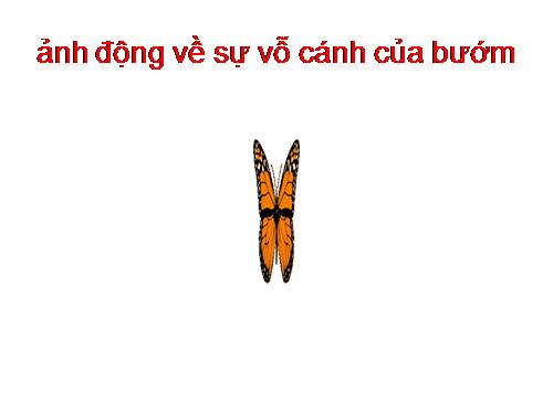 hình ảnh động 1