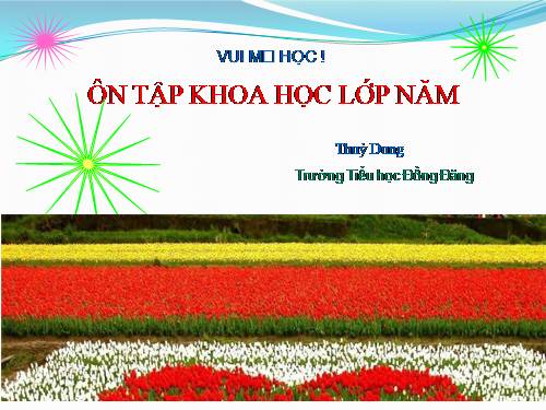 vui ma hoc khoa hoc lop 5