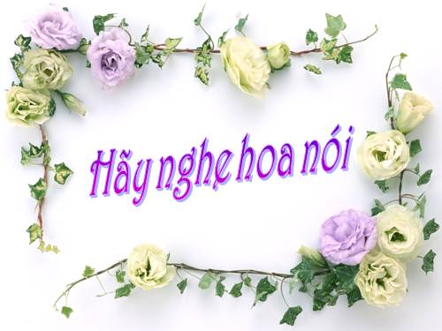 Tiến nói loài hoa