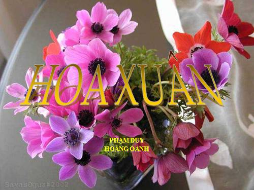 Hoa xuân